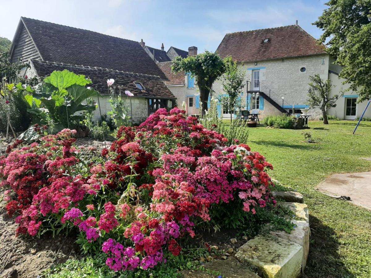 Le Moulin Bleu Bed & Breakfast Seigy Eksteriør bilde